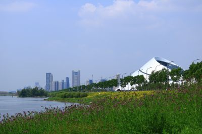 湿地风光