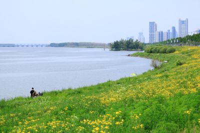 湿地风光