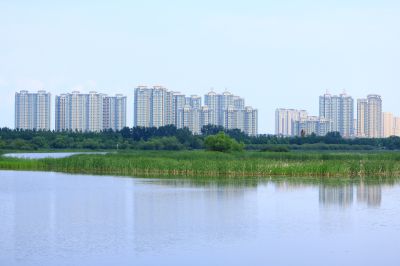 湿地风光