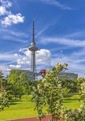 夏季湘江公园