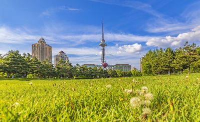 夏季湘江公园