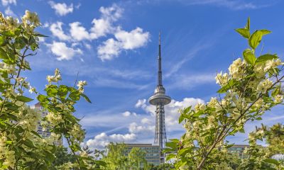 夏季湘江公园