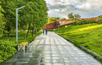 夏季金河公园