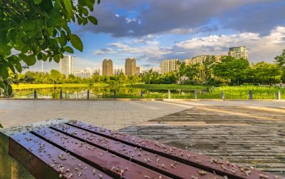 夏日丁香公园