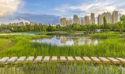 夏日丁香公园