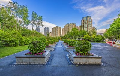 夏季丁香公园