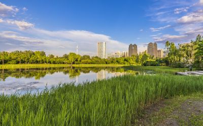 夏季丁香公园