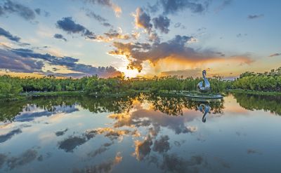 夏季太阳岛太阳湖天鹅雕塑晚霞