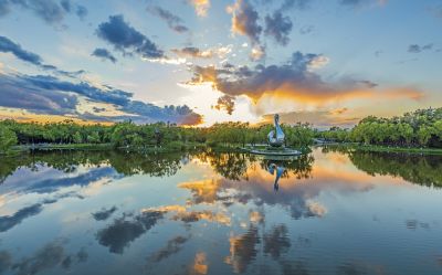 夏季太阳岛太阳湖天鹅雕塑晚霞