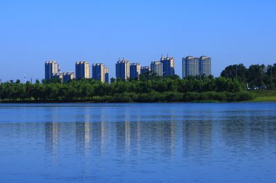 湿地风光