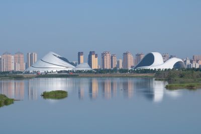 湿地风光