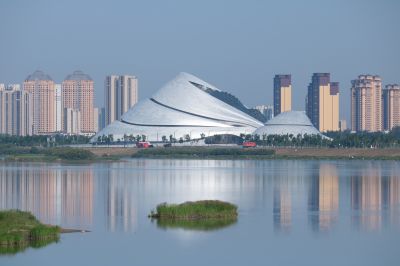 湿地风光