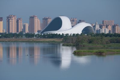 湿地风光