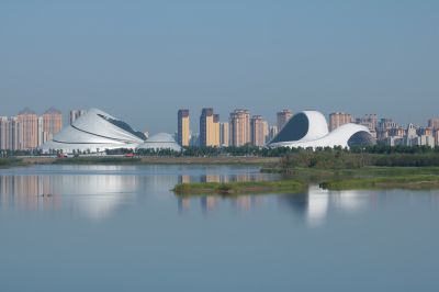 湿地风光