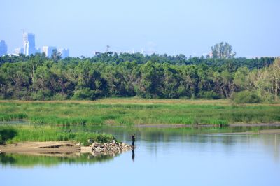 湿地风光