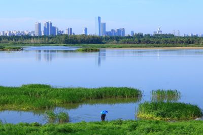 湿地风光