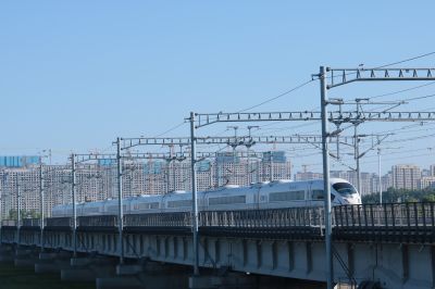 大剧院湿地风光