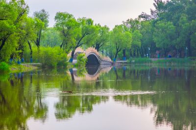 雨后的太阳岛