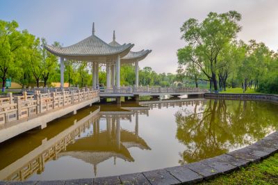 雨后的太阳岛