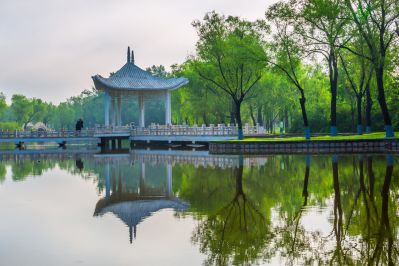 雨后的太阳岛
