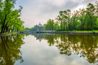 雨后的太阳岛