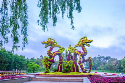 雨后的太阳岛