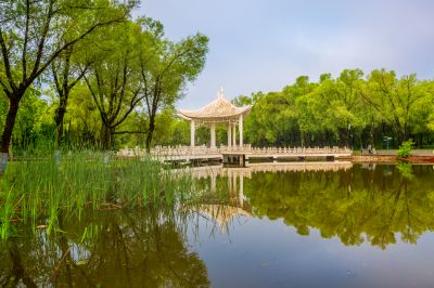 雨后的太阳岛