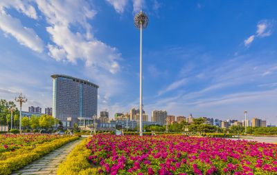 市政府广场花盛开1