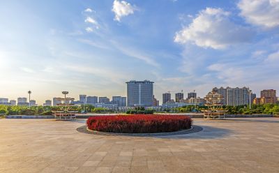 市政府广场花盛开