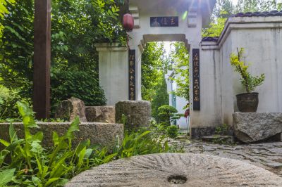 西郊山林景色美1