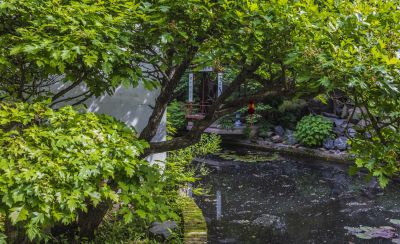 西郊山林景色美