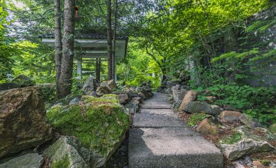 西郊山林景色美