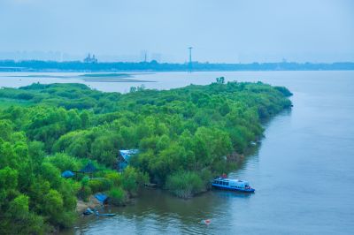 烟雨江畔风景2