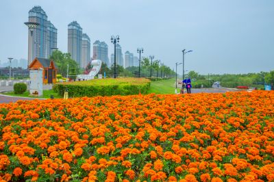 烟雨群力外滩江畔风景