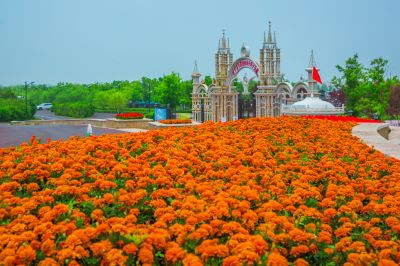 烟雨群力外滩江畔风景