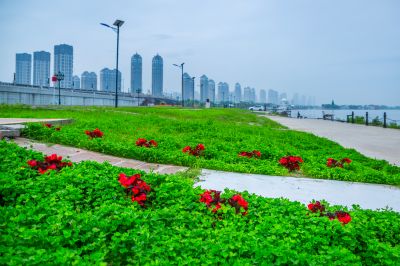 烟雨群力外滩江畔风景