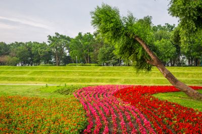 生态和谐太阳岛