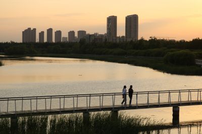 湿地风光