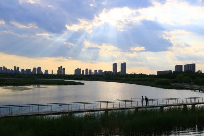 湿地风光