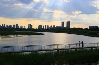 湿地风光