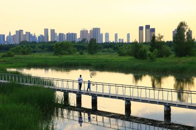 湿地风光