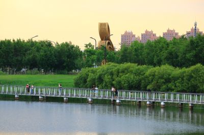 湿地风光