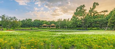 太阳岛风光3