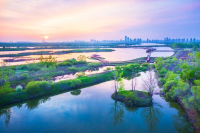 阳明滩湿地的早晨
