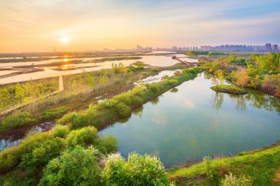 阳明滩湿地的早晨