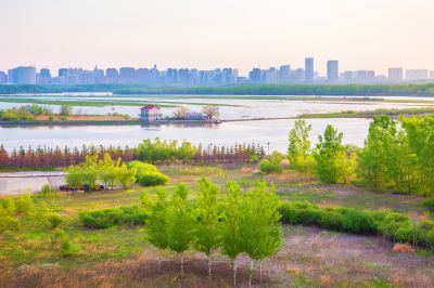 阳明滩湿地的早晨