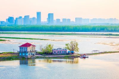 阳明滩湿地的早晨