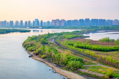 阳明滩湿地的早晨