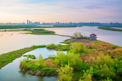 阳明滩湿地的早晨