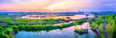阳明滩湿地的早晨